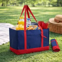 エコバック レジカゴバッグ 買い物 保冷バック 大容量 アウトドア ピクニック