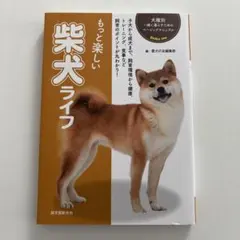 Item thumbnail for item 6ca9fcfb-7590-4608-8cb5-fa1ee76bfc68