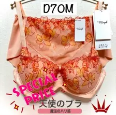 ＊D70M トリンプ 天使のブラ 魔法のハリ感596 ブラ＆ショーツOR PT