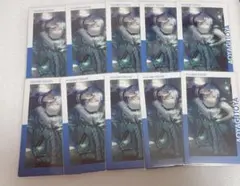 冬弥　エピカ　ミライ　特訓後　10枚