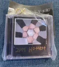 2pm ミニCDコレクション シークレット