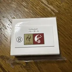 【非売品】アジア大会 2026 ピンバッジ バレーボール