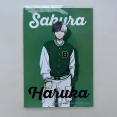 ウィンドブレイカーカード