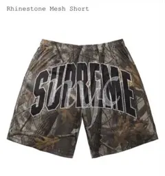Supreme Rhinestone Mesh Short 