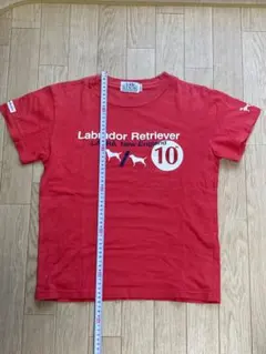 ラブラドールレトリバー　Tシャツのサムネイル