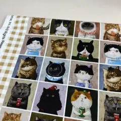 USAシーチング綿100%生地幅110cm×100cm.黄色格猫.9987