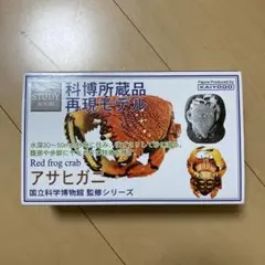 2025年最新】科博所蔵品 再現モデルの人気アイテム - メルカリ