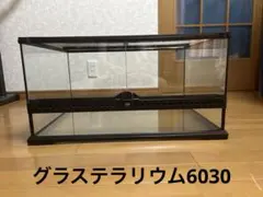 2026年最新】グラステラリウム6030の人気アイテム - メルカリ