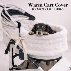 Item thumbnail for item 0b2d5aa7-f79f-48cf-8126-c126c0dada16