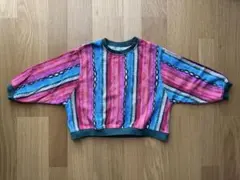 カラフルストライプ クロップドトレーナー