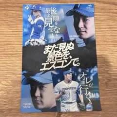 ファイターズ 石井一久 ポスター A4