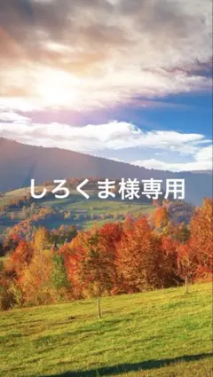 49 レジン　シャカシャカキーホルダー　シェイカー 大人　星　雪の森　オオカミ