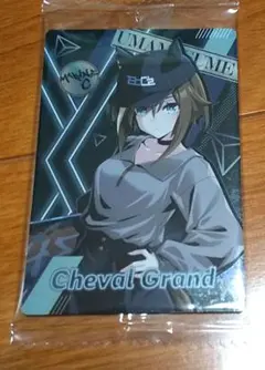 シュヴァルグラン まとめ売り 限定販売】ウマ娘 プリティーダービー シュヴァルグラン 1/7