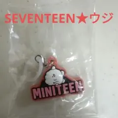 SEVENTEEN ミニティーン ガチャ miniteen ウジ