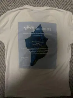 Stussy Tシャツ バックプリント M