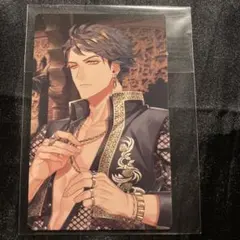 ブラスタ ソテツ カード ビジュアルフォトカード メドレーver.