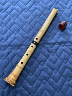 Item thumbnail for item b0f3e40d-f092-4628-876c-b55a0c4875d8