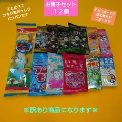 ②【訳あり】お菓子まとめ売り１２個【ご購入前に説明文必見です賞味期限バラバラ】