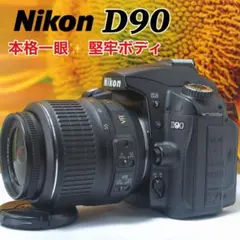 2026年最新】D90 NIKONの人気アイテム - メルカリ