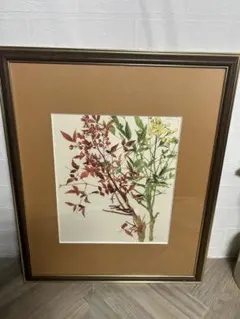 小磯良平/植物画・オオバナセツコク/サイン入り/額付 2026年最新】小磯良平 植物画の人気アイテム - メルカリ