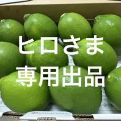 ヒロ　さま　専用出品