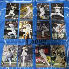 【即購入可】プロ野球チップス 阪神タイガース セット