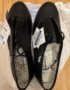 Item thumbnail for item 9f46eade-983b-4c3a-822d-ae863af2c142