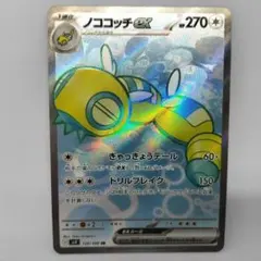 ノコッチ_インフォーメションパックおまけ PROMO 第2世代（★neo・★V… ノコッチ_インフォーメションパックおまけ PROMO 第2世代（☆neo・☆V
