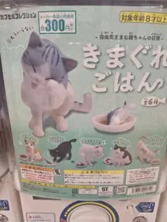 Item thumbnail for item de7c7689-83ab-4598-a830-b7cd5aa290da