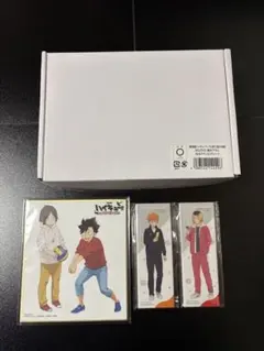 劇場版ハイキュー!! ゴミ捨て場の決戦 光るアクリルプレート