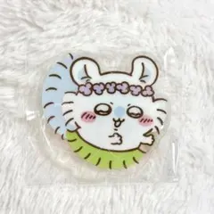 ちいかわ♡海辺でダンスなアクリルスタンド♡モモンガ♡アクスタのサムネイル