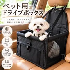 ペット用 ドライブボックス 車用 犬 猫 メッシュ 飛び出し防止リード ブラック