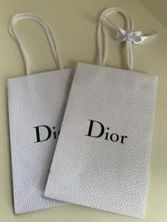 Dior ショップ袋 ２枚セット