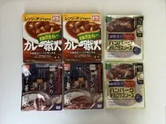 江崎グリコ カレー職人・華味鳥チキンカレー・ハンバーグ　詰め合わせのサムネイル