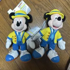 ディズニー　ミッキーマウス　バケーションパッケージ　ぬいぐるみ