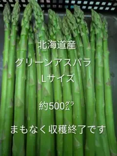 Lサイズ✨️北海道産⭐️グリーンアスパラ⭐️のサムネイル