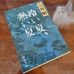 【未使用に近い】冷い夏、熱い夏