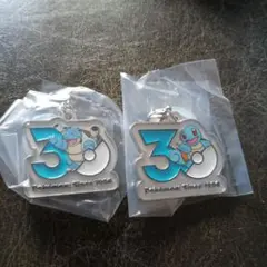 ポケモン 30周年 メタルチャームマスコット　2種セット