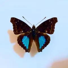 Yuzu☆(※プロフ必読！！)様 リクエスト 3点 まとめ商品