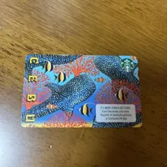 フィリピン　セブ島限定　スタバカード