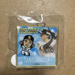 谷川原健太選手 若鷹ガチャ VICTORY ver. アクリルキーホルダー