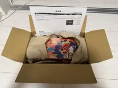 ポケモンセンター　ヒロシマ　スペシャルボックス