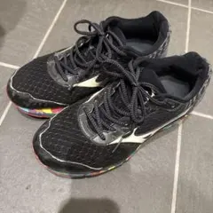 Item thumbnail for item a7a93ab3-c074-44b0-85ef-5e4ee2db227a