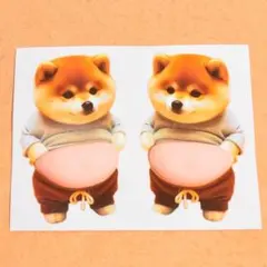 ★立体３Ｄシール★おなかぷにぷに柴犬★ステッカー★スクイーズ★Ｅ６６