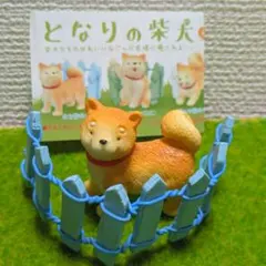 となりの柴犬 ★立ち柴犬と水色柵