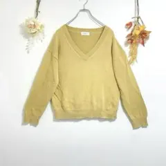 オペークドットクリップ 【40/L】長袖 Vネック サマーニット マスタード