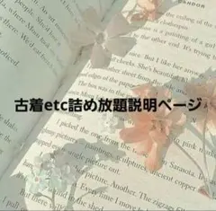 レディース衣類etc♡詰め放題説明ページ　60サイズ～