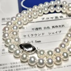 鑑別書付【花珠級】あこや真珠 パール ネックレス 真珠 シルバー 7-7.5㎜