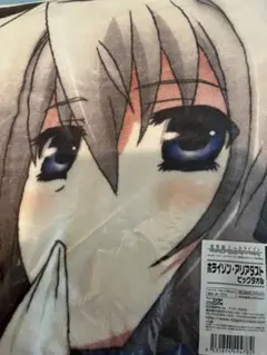 境界線上のホライゾン 浅間・智 抱き枕カバー 川上稔活動25周年を記念した特設サイトがオープン！ 描き下ろし