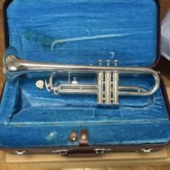 Item thumbnail for item 7cf035ff-06c9-482f-ad5f-3bc0b66fcc0b